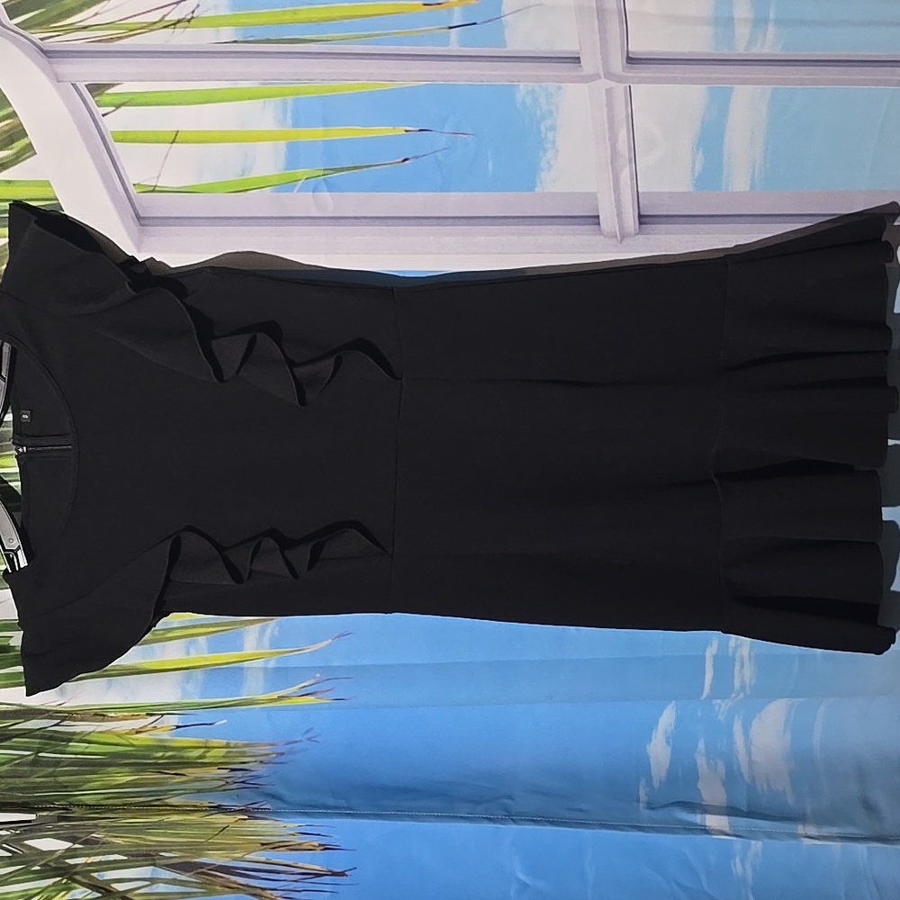 Elegant Black Ruffle Dress